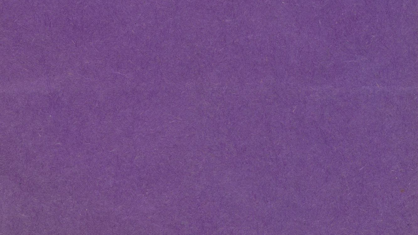 Обои сирень, Фиолетовый, пурпур, синий цвет, пурпурный цвет в разрешении 2560x1440