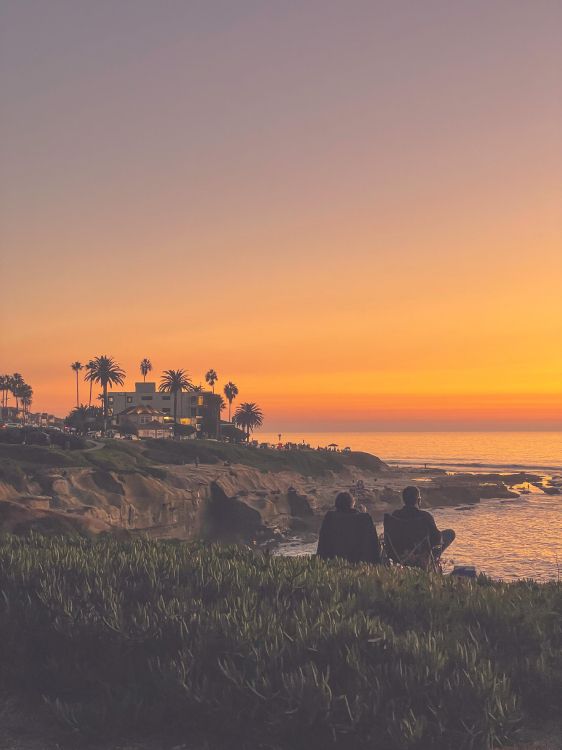 Обои растение, облако, вода, природный ландшафт, сумрак в разрешении 3024x4032