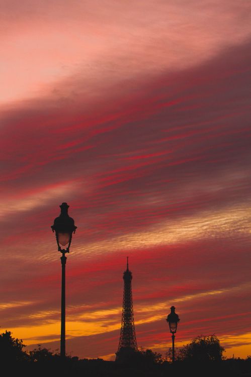 Обои вышка, закат, Париж, утро, вечер в разрешении 3253x4880
