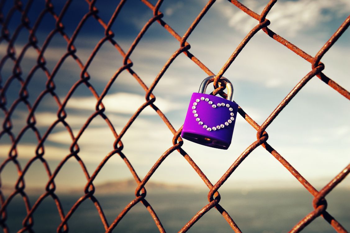 Обои ограждать провода, ячейка, замок, железо, забор в разрешении 4256x2832