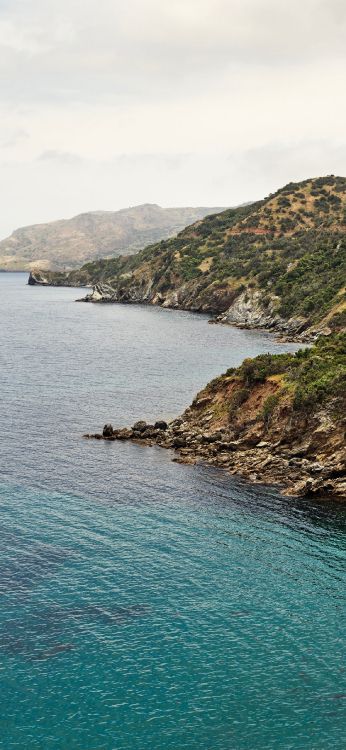 Обои apple, iPhone, macOS Catalina, яблоко, ios в разрешении 1183x2560