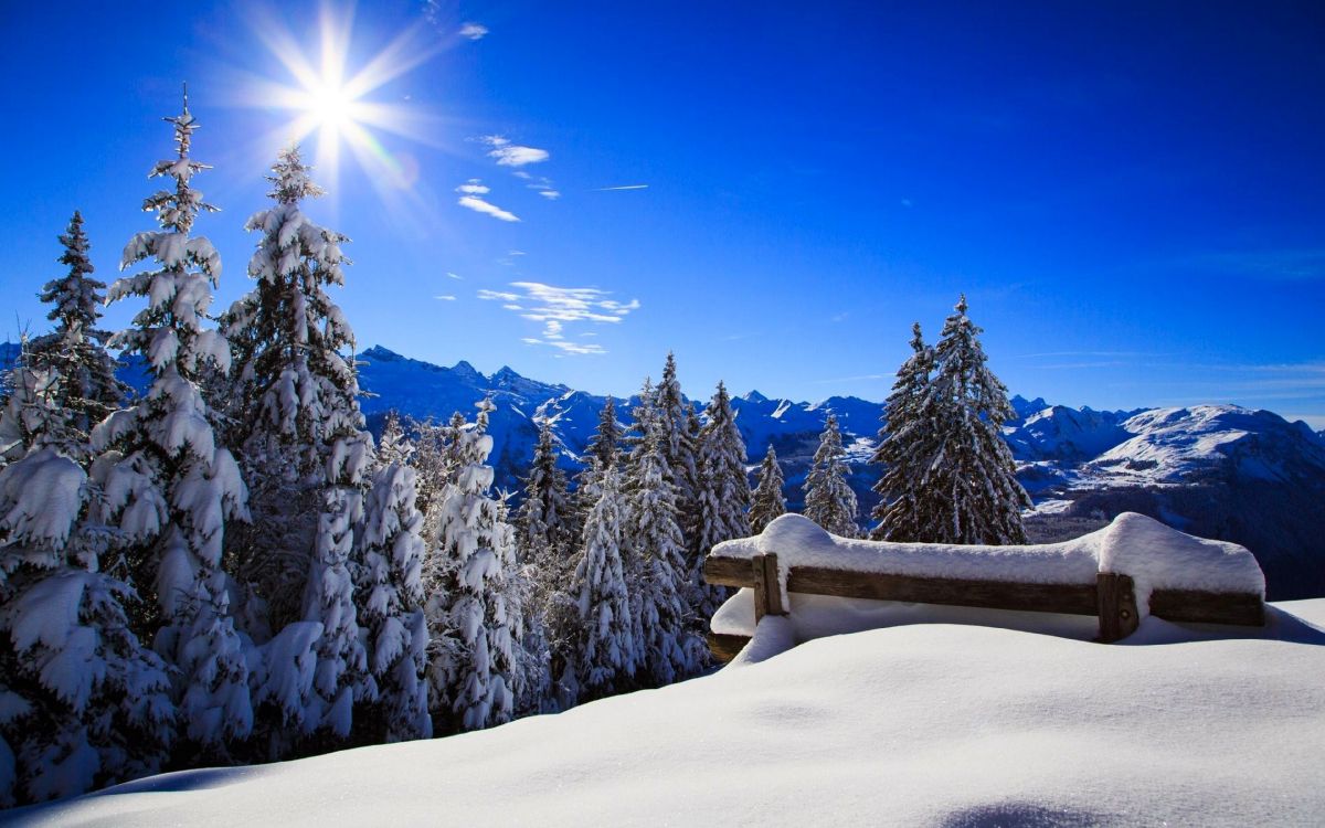 Обои снег, зима, природа, гора, дерево в разрешении 3840x2400
