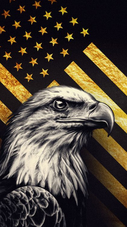 Обои флаг, США, Соединенные Штаты, флаг Соединенных Штатов, Орел в разрешении 3240x5760