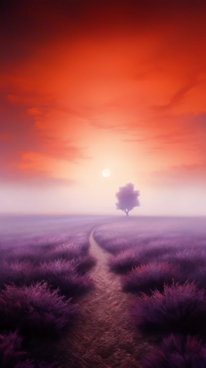 Обои облако, атмосфера, экорегион, растение, природный ландшафт в разрешении 2048x3642