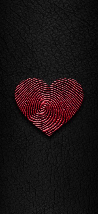 Обои сердце, человеческое тело, гитара аксессуар, электрик, круг в разрешении 1080x2340