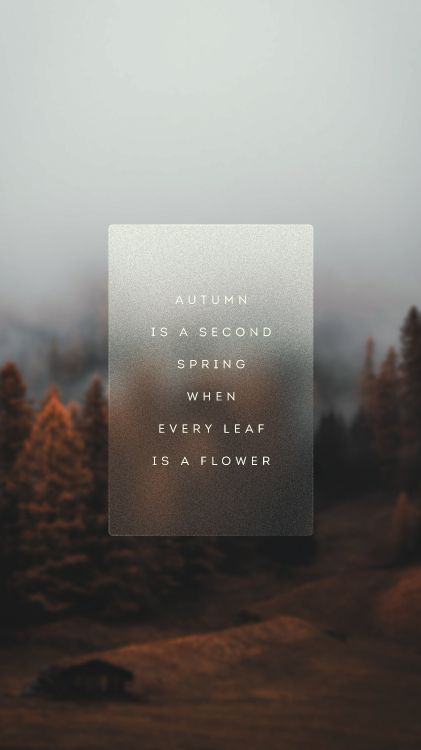 Обои утро, атмосфера, лист, дерево, пейзаж в разрешении 4320x7680