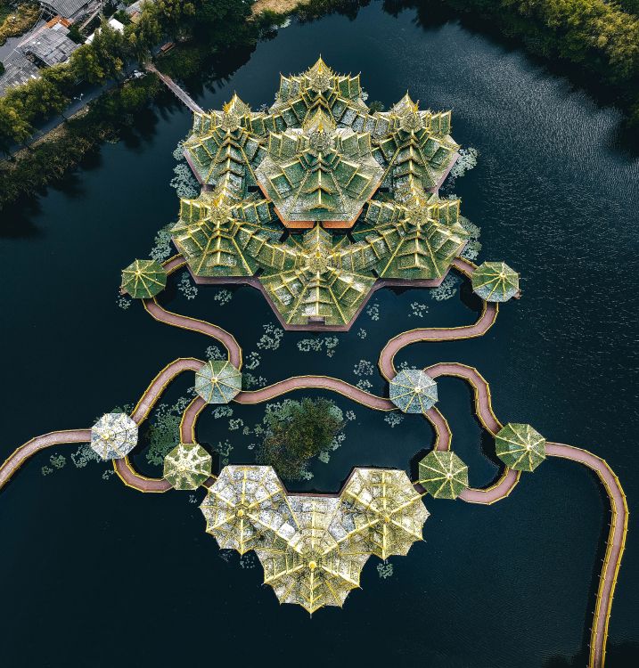 Обои дружба, множество, лодка, зеленый, растение в разрешении 4161x4347