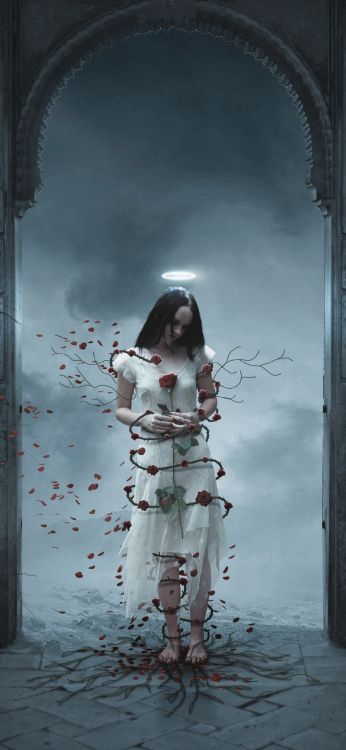 Обои темнота, арт, окно, ветвь, прут в разрешении 1080x2340