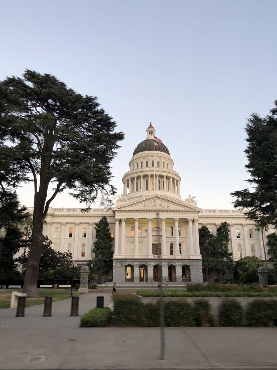 Обои Капитолий штата, растение, купол, ориентир, дворец в разрешении 2881x3841