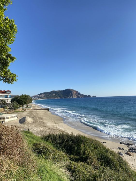 Обои Клеопатра Бич, побережье, вода, растение, гидроресурсы в разрешении 1536x2048