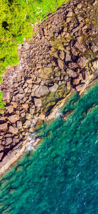 Обои растительность, водоток, гидроресурсы, обнажение, вода в разрешении 1080x2340