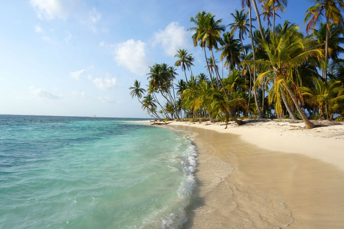 Обои водоем, тропическая зона, пляж, берег, море в разрешении 4912x3264