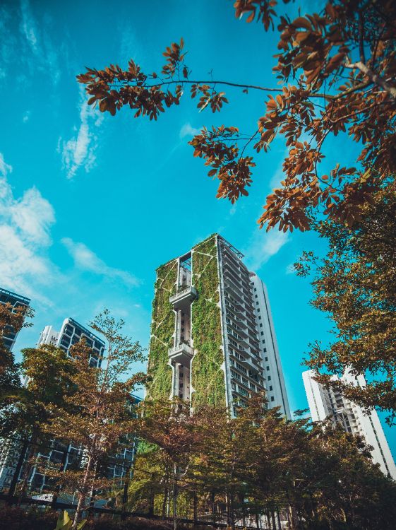 Обои архитектура, сад, Сингапур, здание, городской район в разрешении 3264x4358