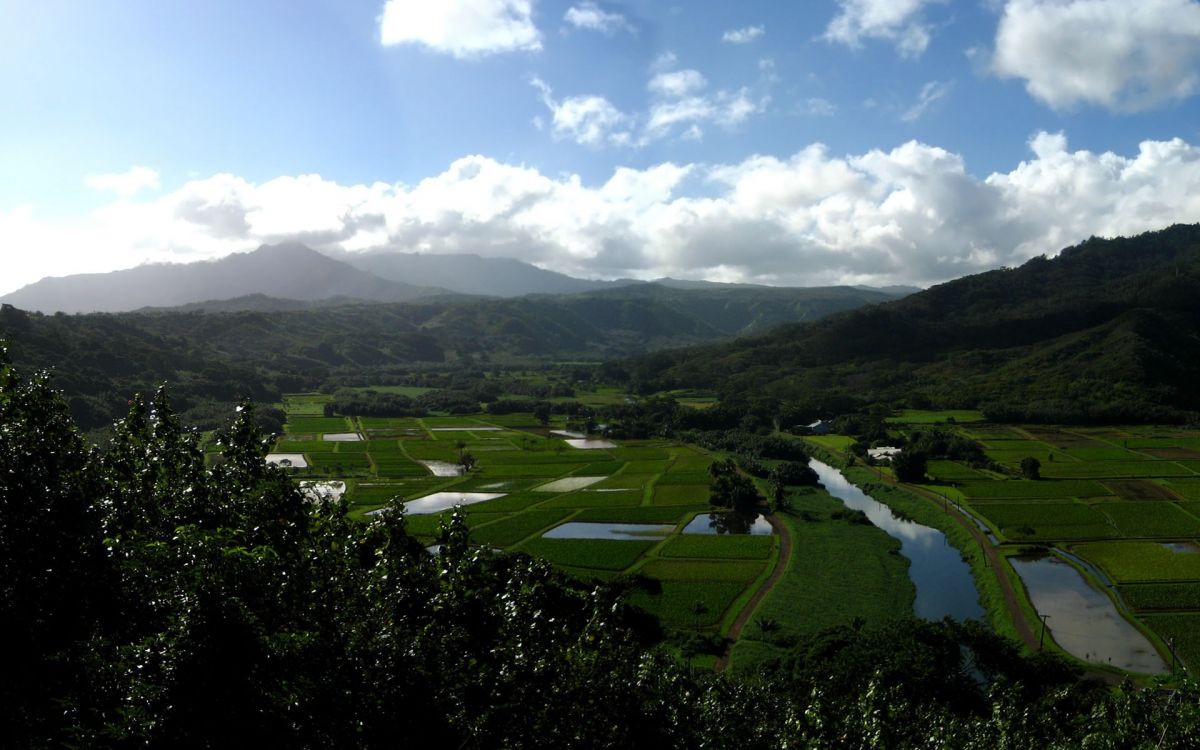 Обои нагорье, природа, холм, поля, высота в разрешении 1920x1200