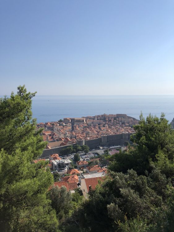 Обои пейзажи гор, наука, биология, растительность, соседство в разрешении 1536x2048