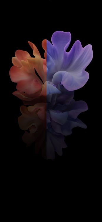 Обои apple, iPhone, iOS 14, iOS 14 DUAL, яблоко в разрешении 1125x2436