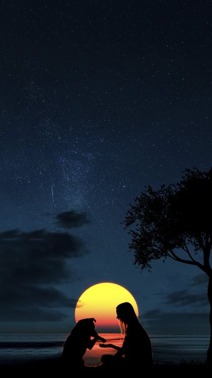 Обои луна силуэт девушка и собака, датский дог, атмосфера, свет, природа в разрешении 1440x2560