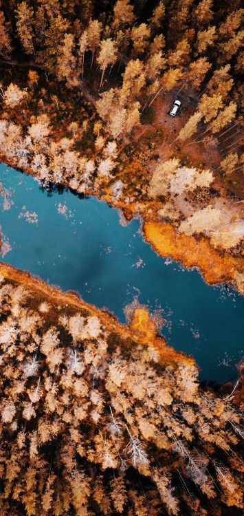 Обои отражение, вода, гидроресурсы, лазурный, природный ландшафт в разрешении 1421x3000