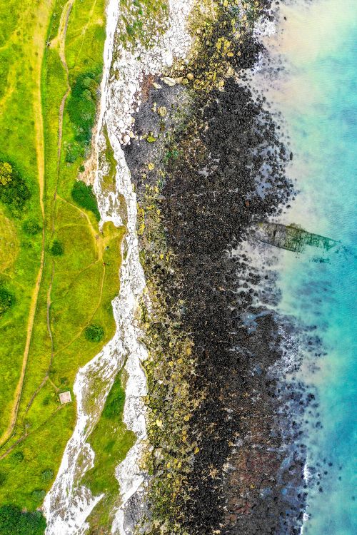 Обои живопись, измеритель, гидроресурсы, дерево, Каноэ Береза в разрешении 3648x5472