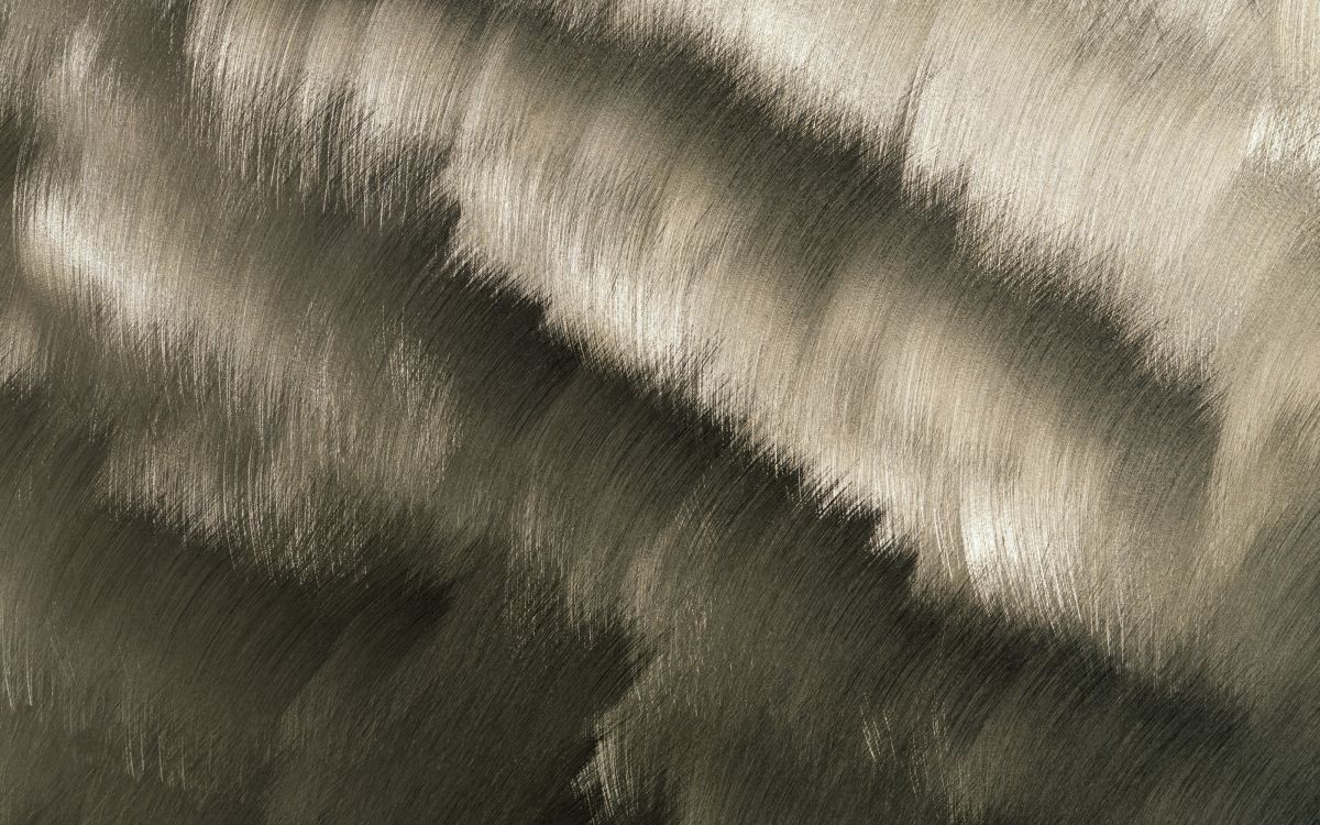 Обои мех, ткань, черный и белый, морда, крупный план в разрешении 3200x2000