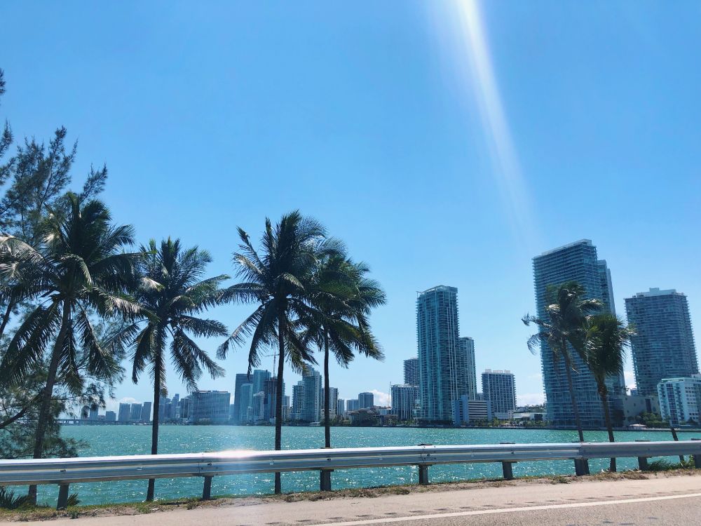 Обои пальмовые рощи, вода, недвижимость, башня, кондоминиум в разрешении 4032x3024