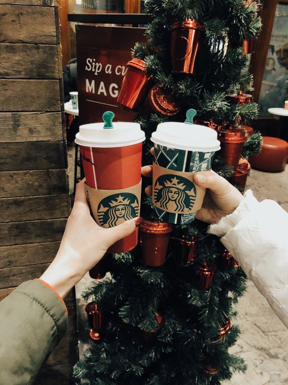 Обои новый логотип starbucks 2011, Рождественский день, Рождественские украшения, цветочный горшок, праздник в разрешении 3025x4032