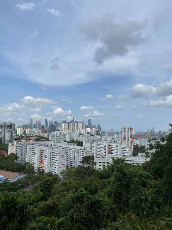 Обои дневное время, башня, городской район, соседство, свойство в разрешении 1536x2048