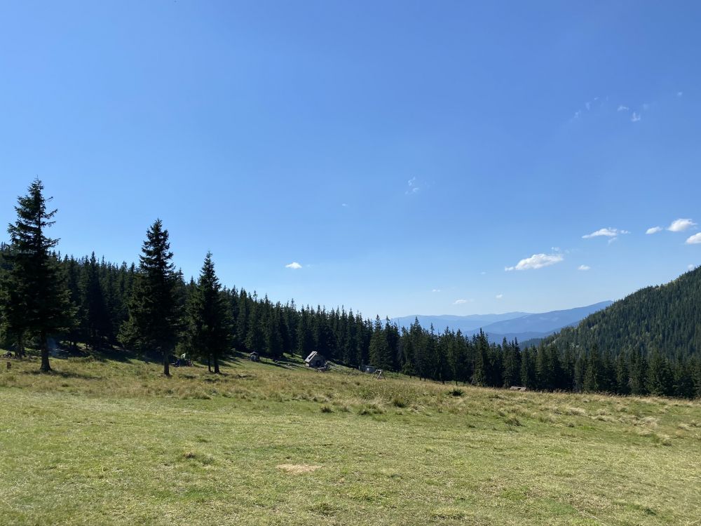 Обои водоем, дорога, горный рельеф, природа, растительность в разрешении 2048x1536