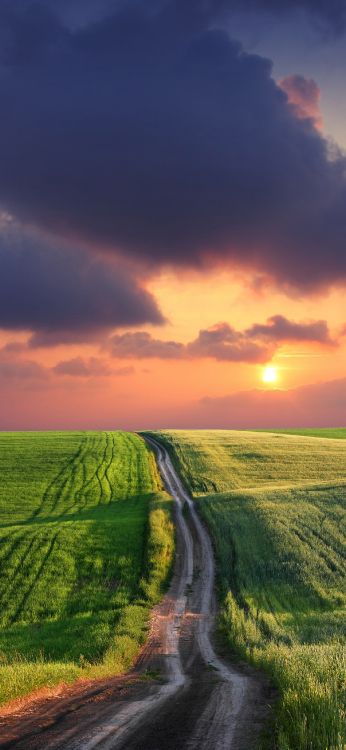 Обои арт, молния, Гроза, облако, буря в разрешении 1299x2813