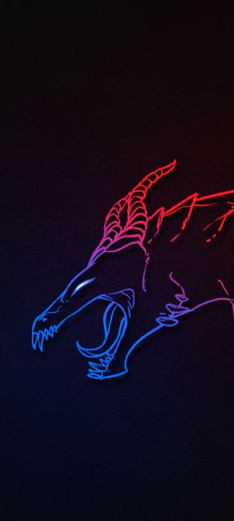 Обои свет, наука, жест, автомобильное освещение, дерево в разрешении 1080x2400