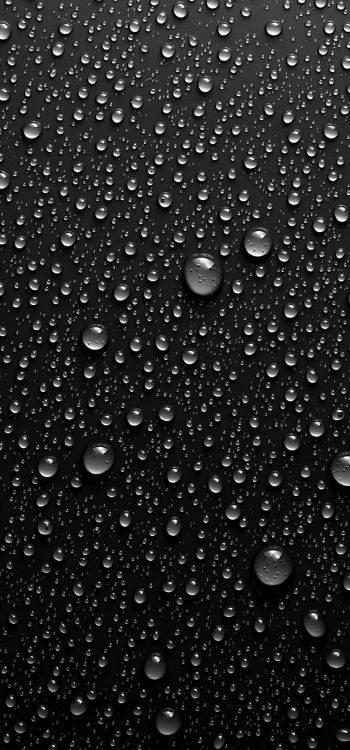 Обои падение, влага, вода, роса, мелкий дождь в разрешении 1080x2310