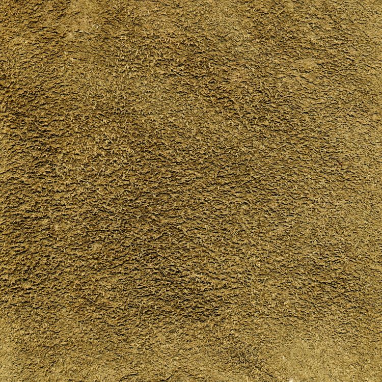 Обои трава, почва, материал в разрешении 2000x2000