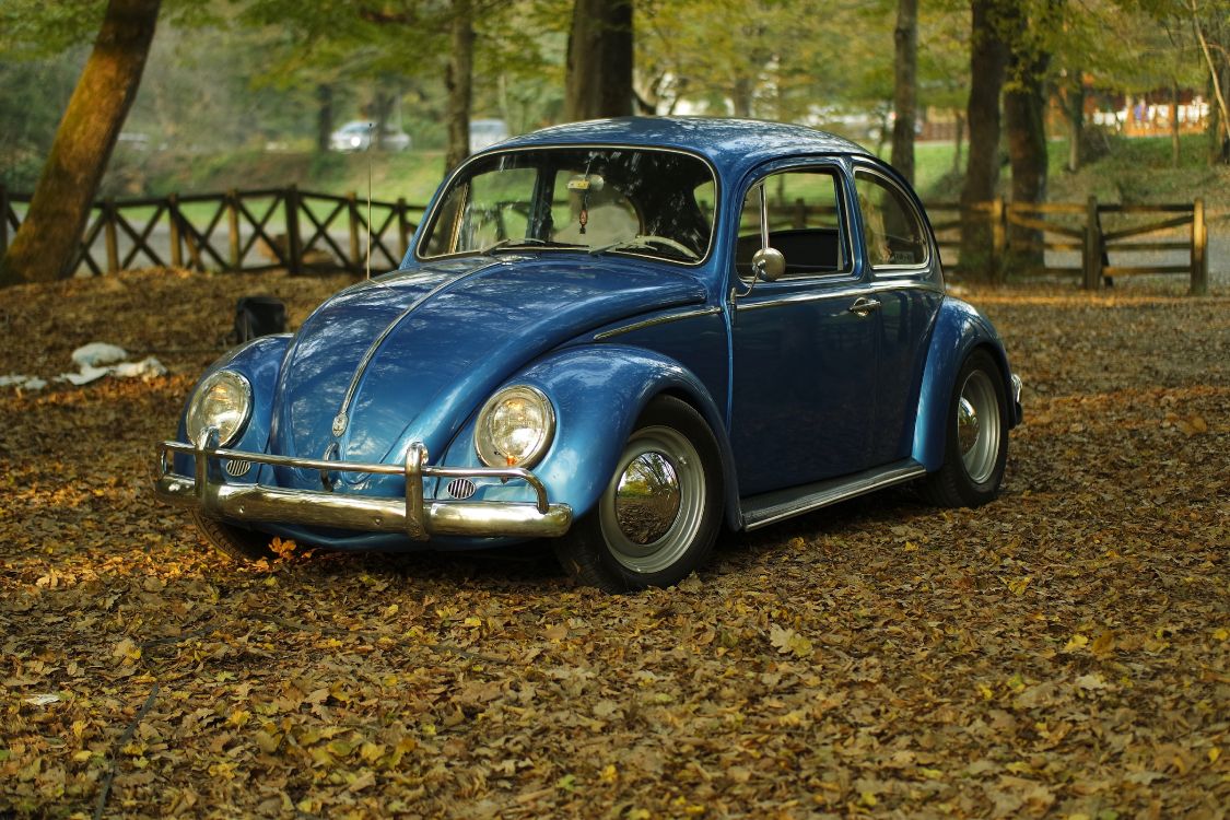 Обои Фольксваген жук, авто, Фольксваген, классический автомобиль, старинная машина в разрешении 5472x3648
