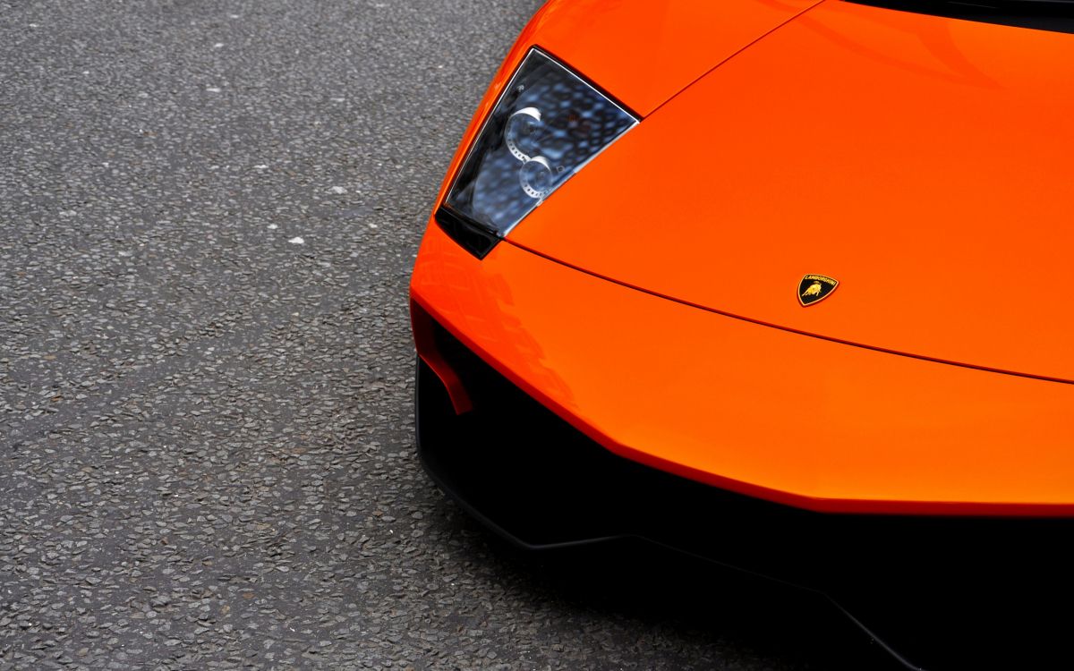 Обои Апельсин, lamborghini gallardo, Ламборджини, Lamborghini Murcilago, авто в разрешении 2560x1600