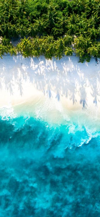 Обои постер, Displate, Создайте, вода, гидроресурсы в разрешении 1080x2340