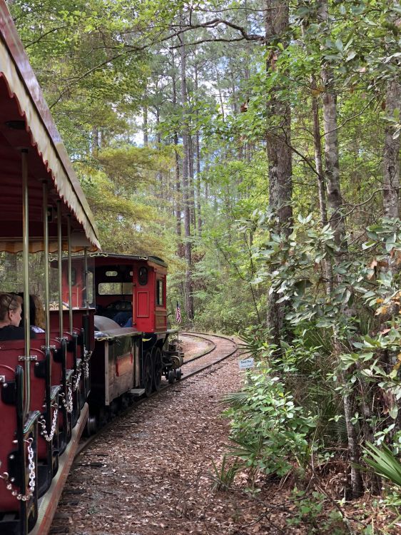 Обои железнодорожный транспорт, поезд, железнодорожный вагон, лист, трек в разрешении 1536x2048