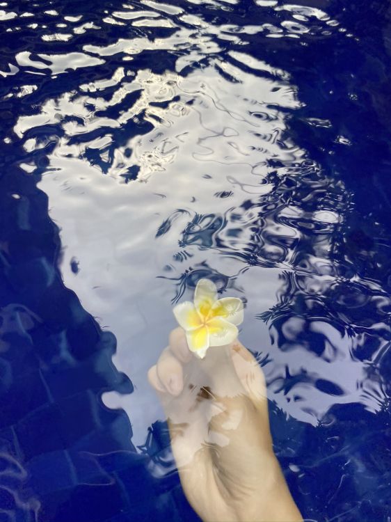 Обои вода, наука, жидкость, жидкий, гидроресурсы в разрешении 1536x2048