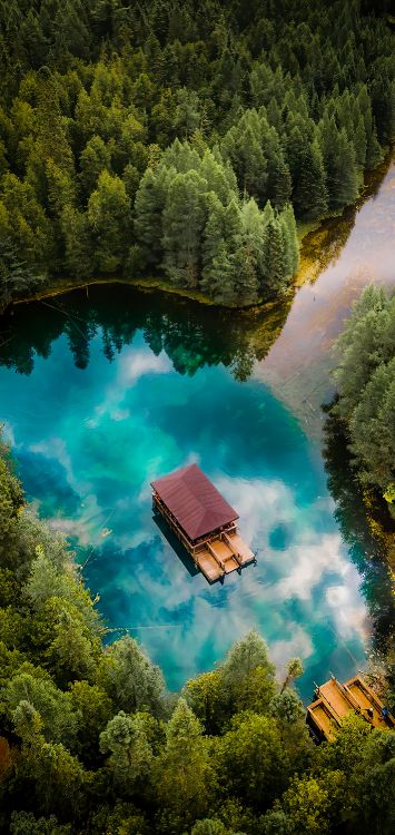 Обои природа, вода, гидроресурсы, растение, зеленый в разрешении 1420x3000