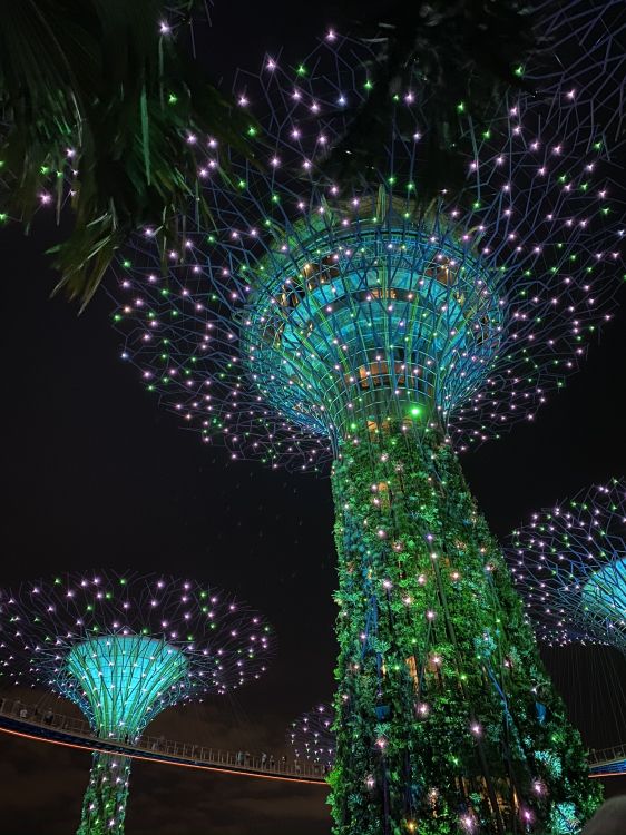 Обои Сингапур, свет, Рождественские огни, освещение, зеленый в разрешении 1536x2048