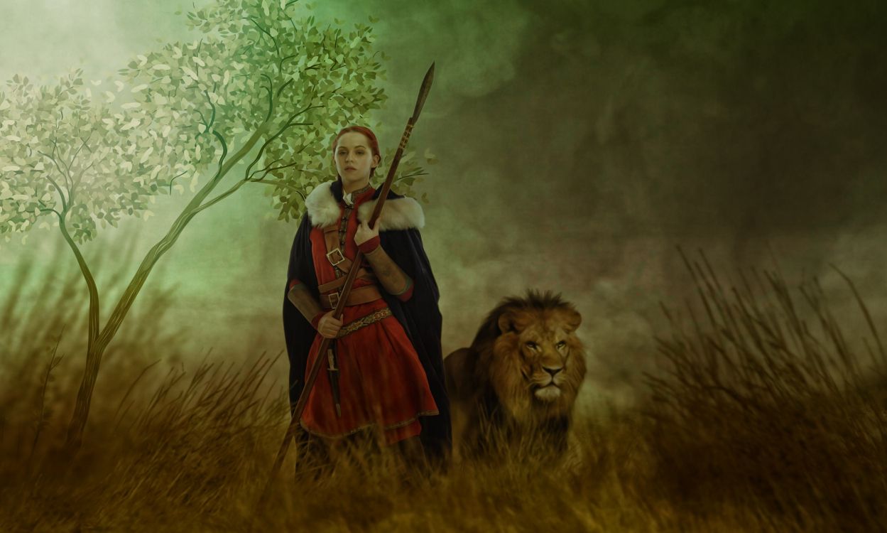 Обои Лев, живая природа, джунгли, экосистема, лес в разрешении 2048x1229