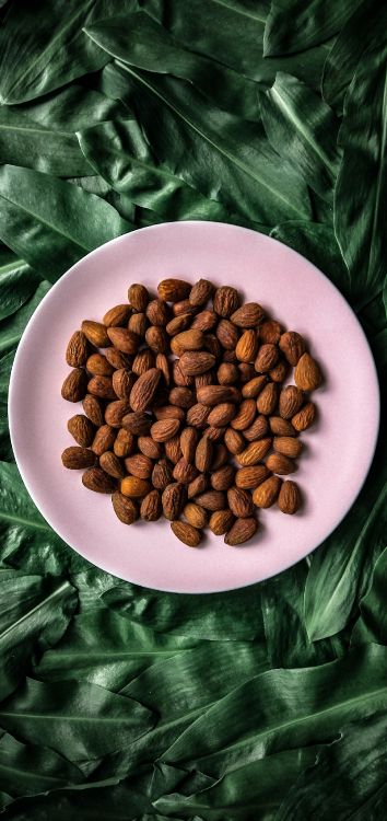 Обои гайка, Федвелл сенопати, пища, Одного происхождения кофе, ингредиент в разрешении 1514x3200