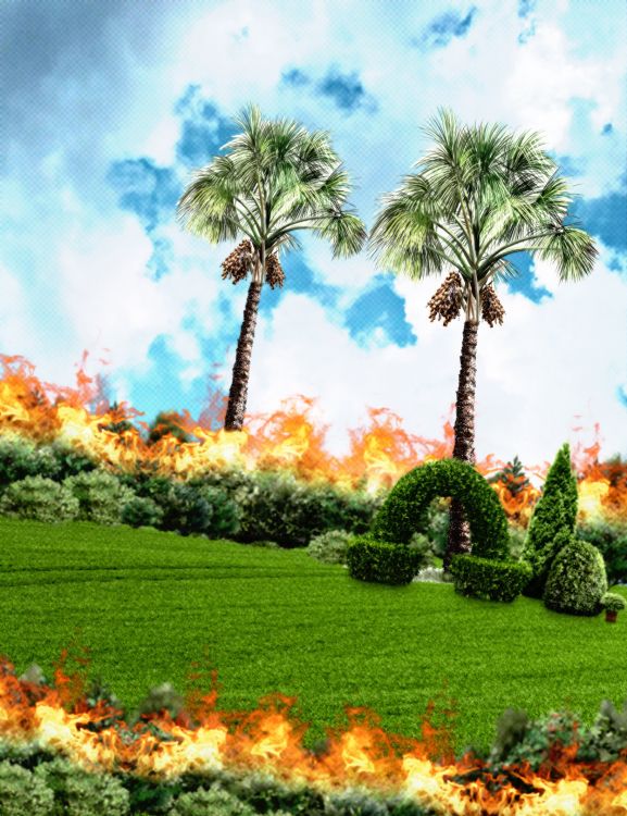 Обои природа, облако, растение, дневное время, растительное сообщество в разрешении 1248x1620