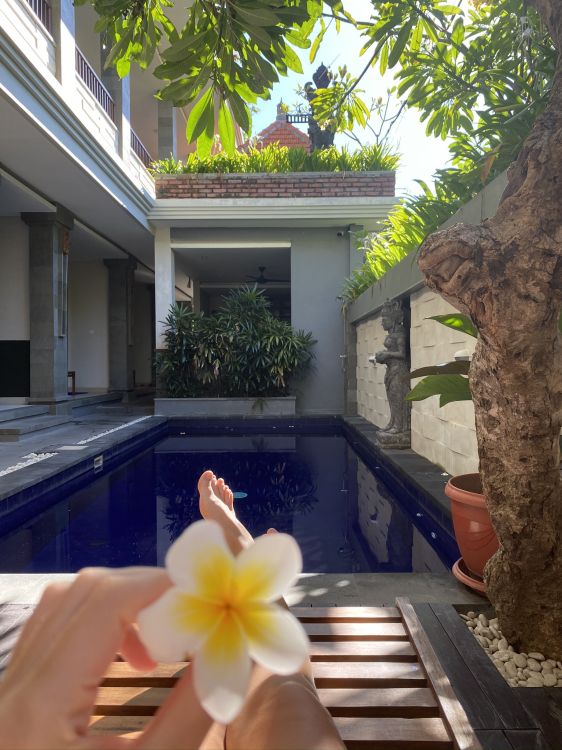 Обои Хаус, плавательный бассейн, недвижимость, свойство, лепесток в разрешении 1536x2048