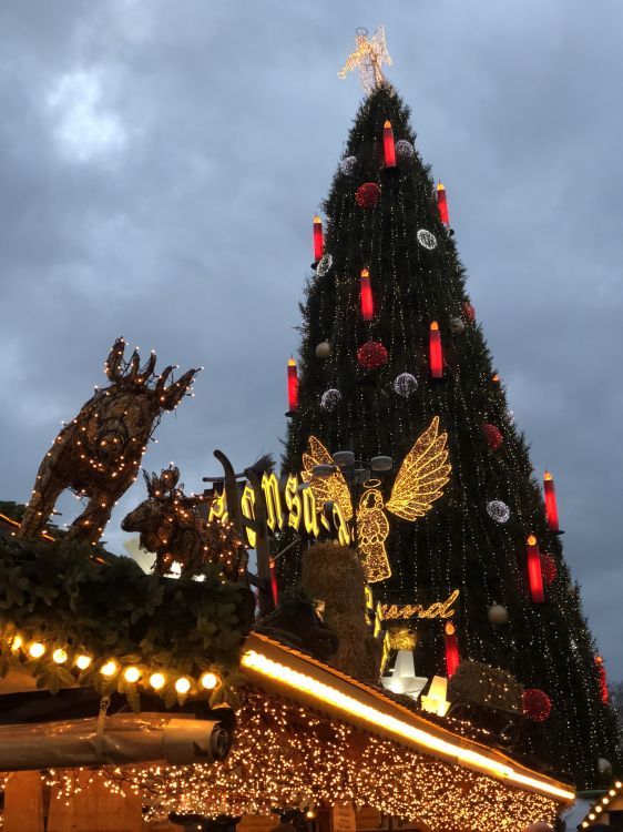 Обои елка, Рождественский день, ель, Рождественские огни, традиция в разрешении 1536x2048