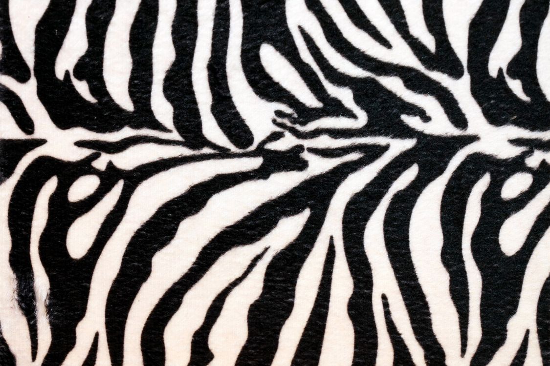 Обои животных печати, зебра, живая природа, узор, монохромный в разрешении 2711x1807