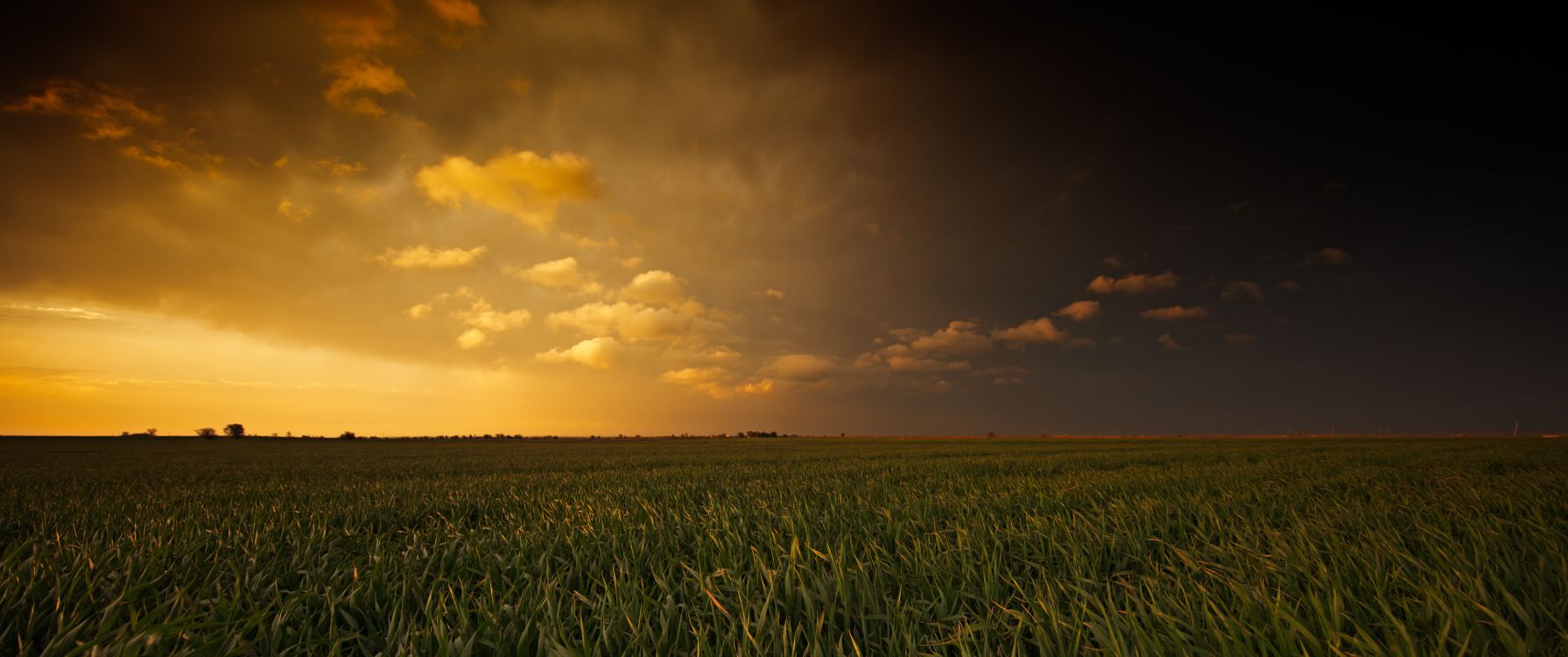 Обои поле, сенокосное угодье, облако, равнина, матовая покраска в разрешении 3440x1440
