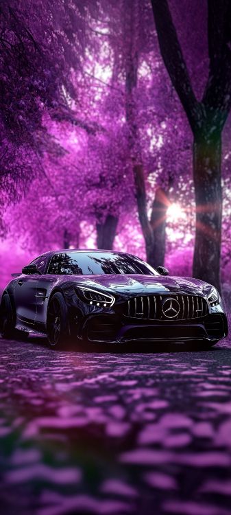 Обои Майбах Exelero, nissan skyline, nissan gt r, mercedes benz, легковые автомобили в разрешении 1440x3200