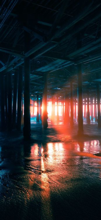 Обои в конце весны, спотифай, песня, Альбом, иллюстрация в разрешении 1213x2628