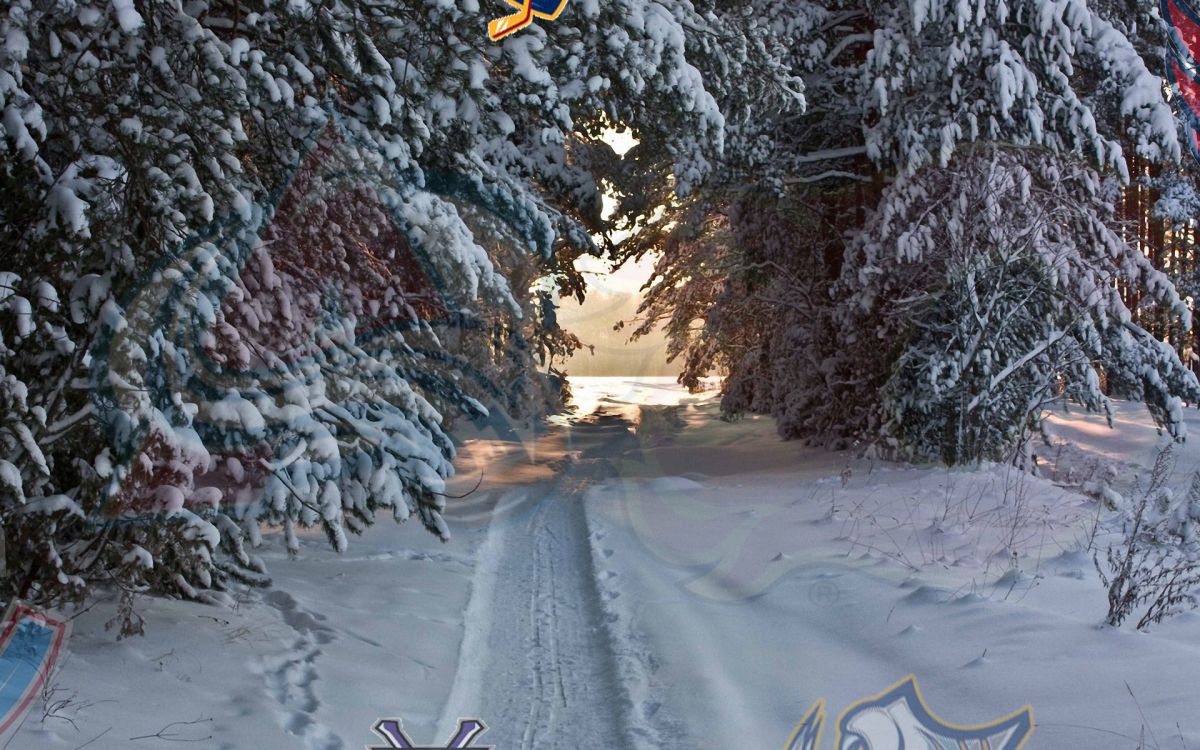 Обои зима, снег, дерево, замораживание, мороз в разрешении 1920x1200