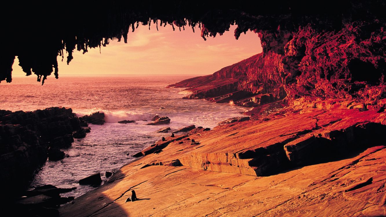 Обои Адмиралы Арки, Замечательные Скалы, национальный парк, море, рок в разрешении 2560x1440